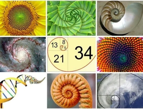 Lessons from Unusual Places: the Fibonacci Sequence