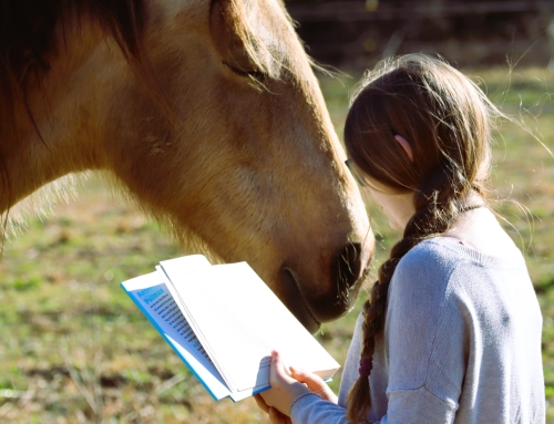 Programs for Schools and Other Educational Organizations