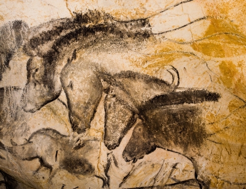 Preserving the Horse’s Wild Nature